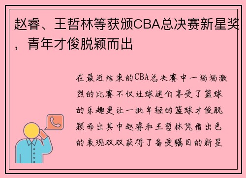 赵睿、王哲林等获颁CBA总决赛新星奖，青年才俊脱颖而出